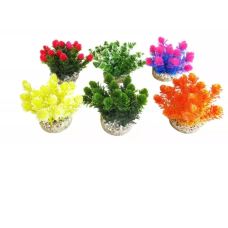 PLANTA NANO GRASS BUSH PLANTA NANO GRASS BUSH